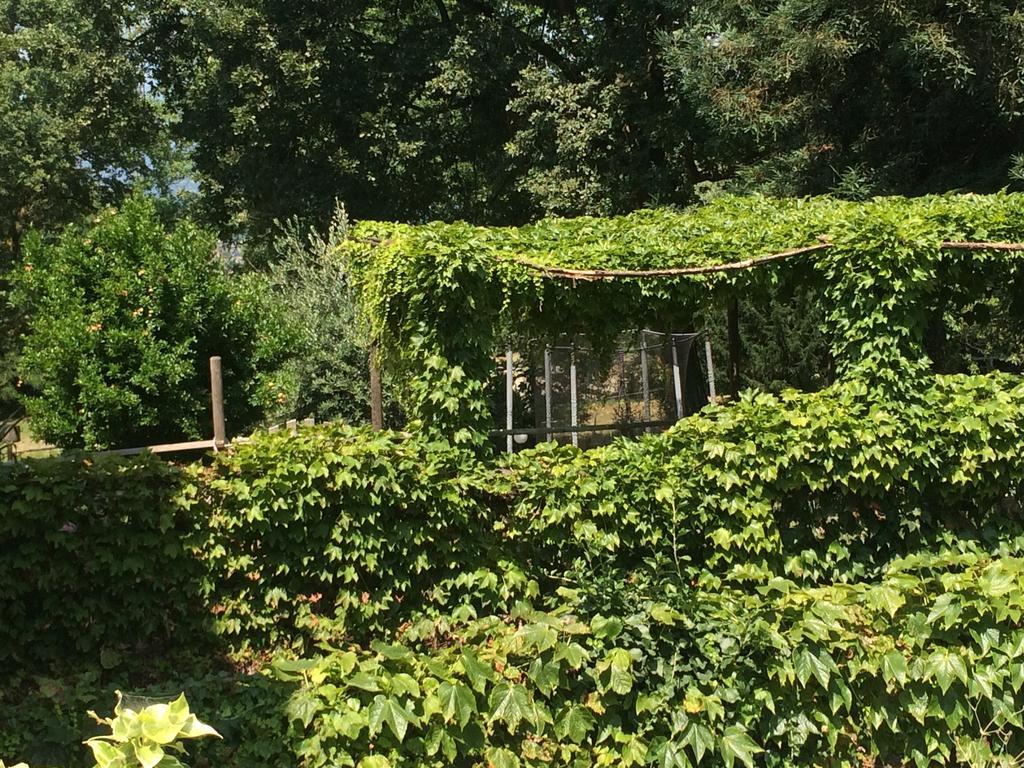 Fattoria Sequoia Bed and Breakfast Castagneto Po Εξωτερικό φωτογραφία
