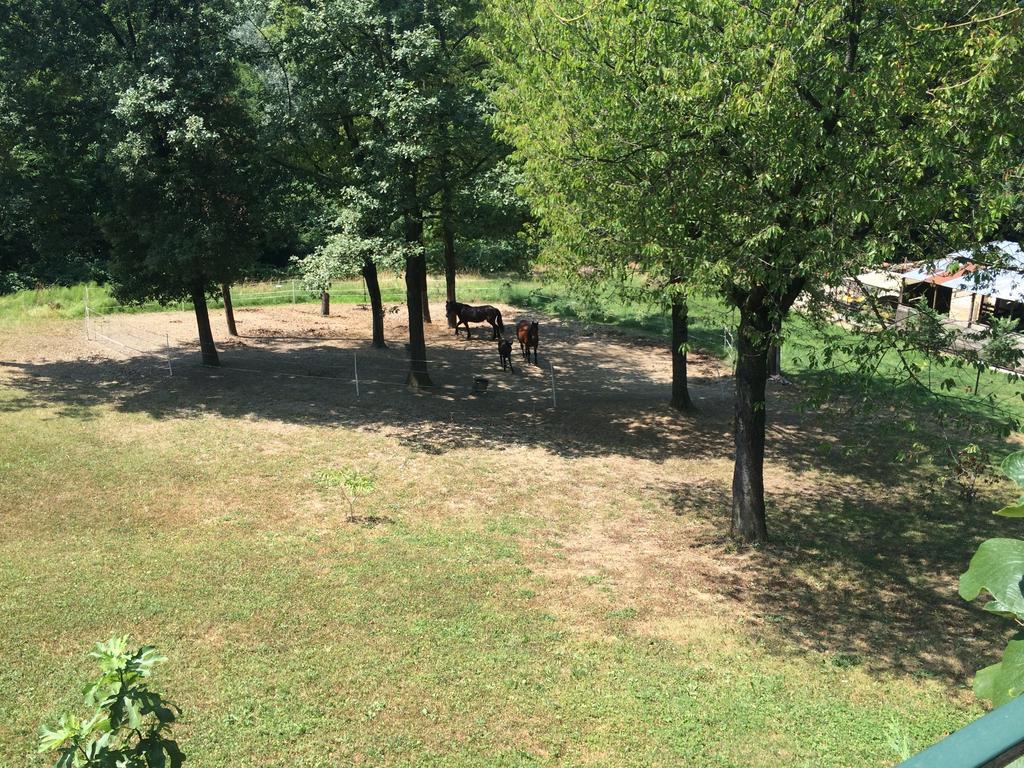 Fattoria Sequoia Bed and Breakfast Castagneto Po Εξωτερικό φωτογραφία